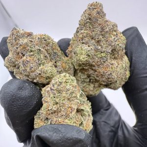 Purple Punch | פרפל פאנץ'